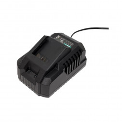 Зарядное устройство DongCheng FFCL20-04 20В, 4А