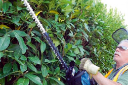 Бензиновый кусторез Makita EH 7500 W (EH7500W)