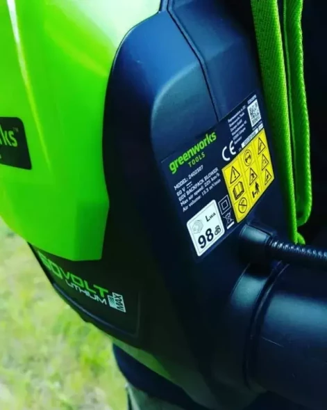 Воздуходувка аккумуляторная бесщеточная Greenworks GD60BPB (без АКБ и ЗУ)